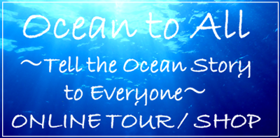 Okinawa Bluecave Online tour/Shop