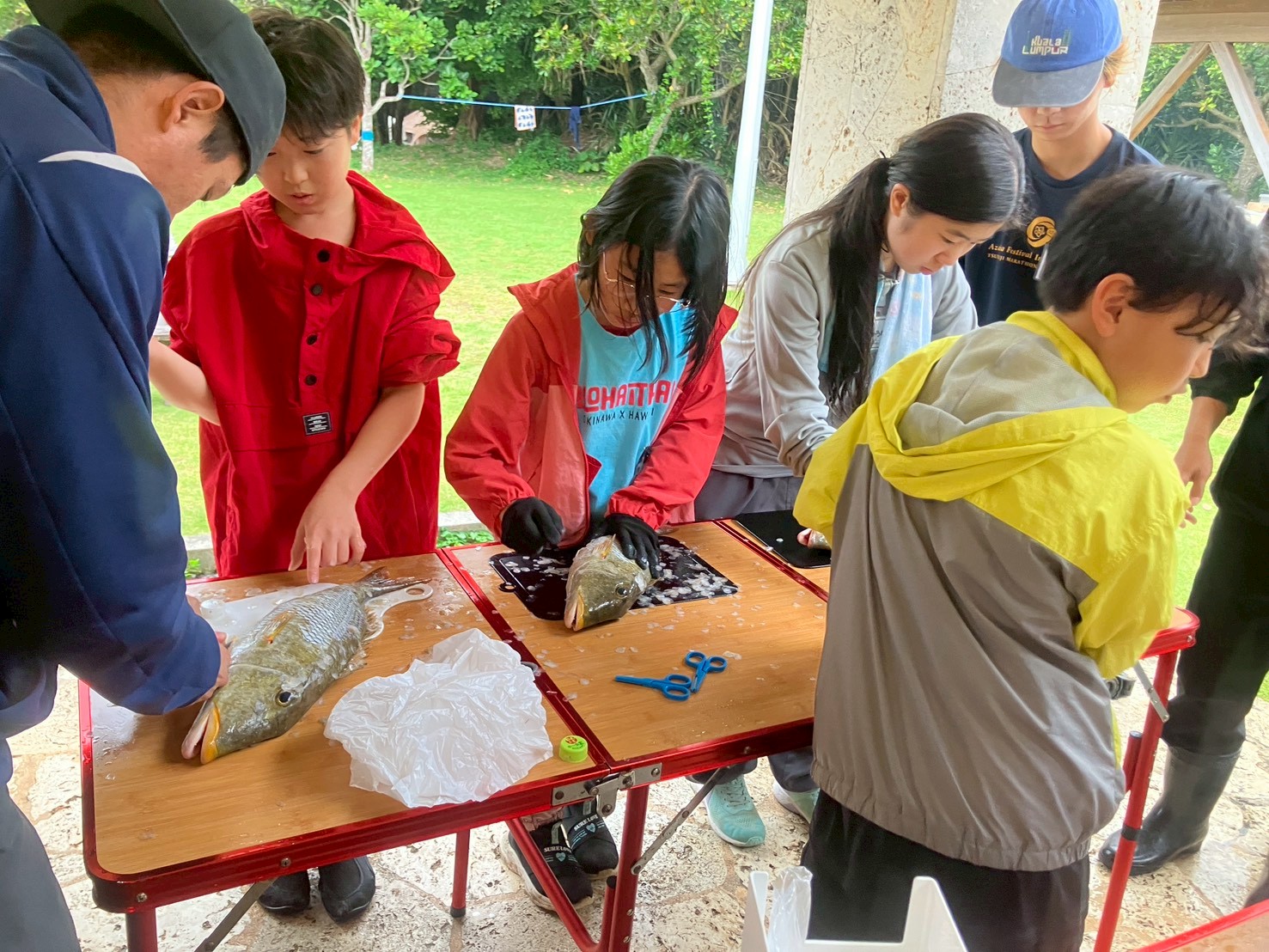 魚のさばき体験で命の大切さを学ぶ