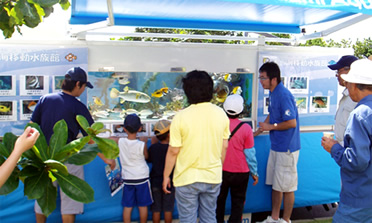 美ら海移動水族館🎵